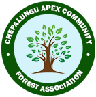 Chepalungu Apex Forest Community